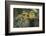 Little Birds-Art Wolfe-Framed Photographic Print