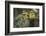 Little Birds-Art Wolfe-Framed Photographic Print