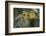 Little Birds-Art Wolfe-Framed Photographic Print