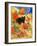 Little Black Cat in Pumpkin Patch-sylvia pimental-Framed Art Print