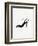 Little Black Shoe-Studio 5-Framed Premium Giclee Print