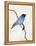 Little Blue, 2012-Nancy Moniz-Framed Premier Image Canvas