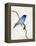 Little Blue, 2012-Nancy Moniz-Framed Premier Image Canvas