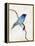 Little Blue, 2012-Nancy Moniz-Framed Premier Image Canvas