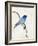 Little Blue, 2012-Nancy Moniz-Framed Giclee Print