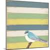 Little Blue Bird-Tammy Kushnir-Mounted Giclee Print