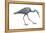 Little Blue Heron (Egretta Caerulea), Birds-Encyclopaedia Britannica-Framed Stretched Canvas