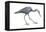 Little Blue Heron (Egretta Caerulea), Birds-Encyclopaedia Britannica-Framed Stretched Canvas