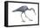 Little Blue Heron (Egretta Caerulea), Birds-Encyclopaedia Britannica-Framed Stretched Canvas