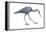 Little Blue Heron (Egretta Caerulea), Birds-Encyclopaedia Britannica-Framed Stretched Canvas