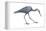 Little Blue Heron (Egretta Caerulea), Birds-Encyclopaedia Britannica-Framed Stretched Canvas