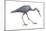Little Blue Heron (Egretta Caerulea), Birds-Encyclopaedia Britannica-Mounted Art Print