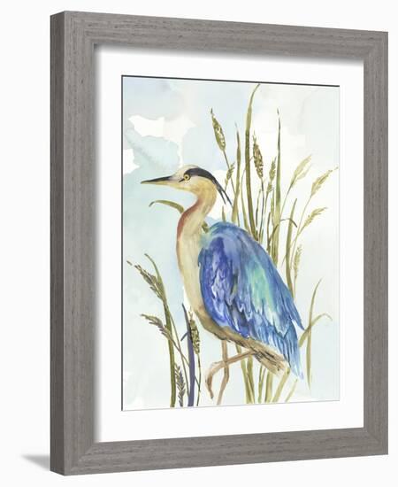 Little Blue Heron-Aimee Wilson-Framed Art Print