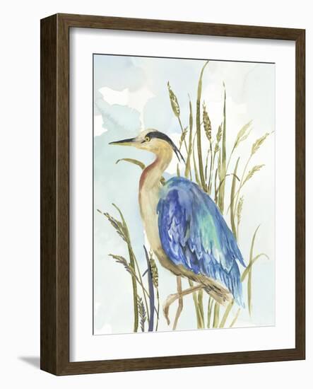 Little Blue Heron-Aimee Wilson-Framed Art Print