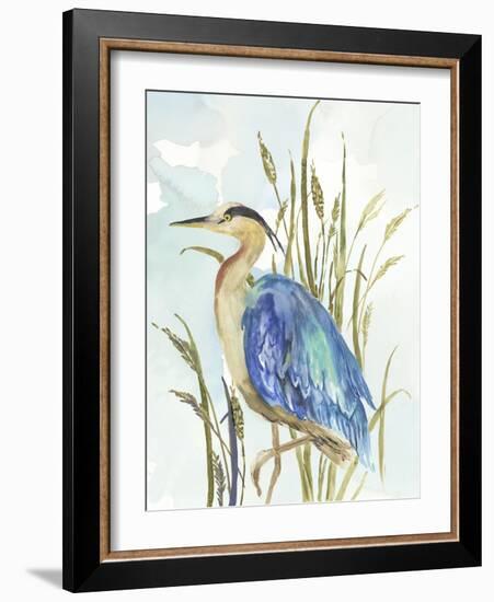 Little Blue Heron-Aimee Wilson-Framed Art Print