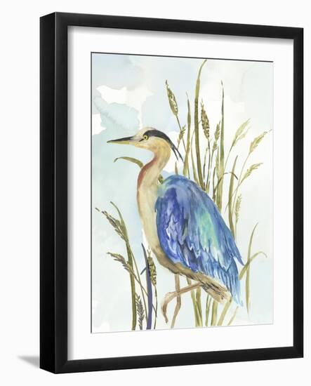 Little Blue Heron-Aimee Wilson-Framed Art Print