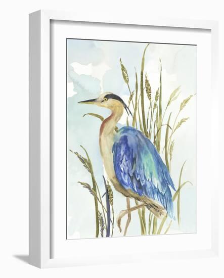 Little Blue Heron-Aimee Wilson-Framed Art Print