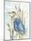 Little Blue Heron-Aimee Wilson-Mounted Art Print