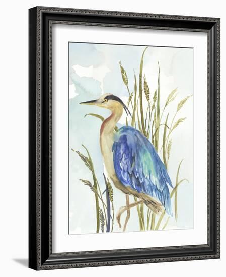 Little Blue Heron-Aimee Wilson-Framed Art Print