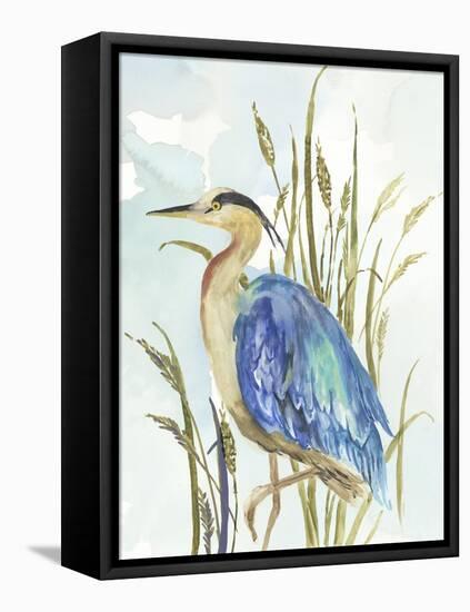 Little Blue Heron-Aimee Wilson-Framed Stretched Canvas