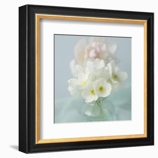 Little Bouquet of Anemones-Judy Stalus-Framed Premium Giclee Print