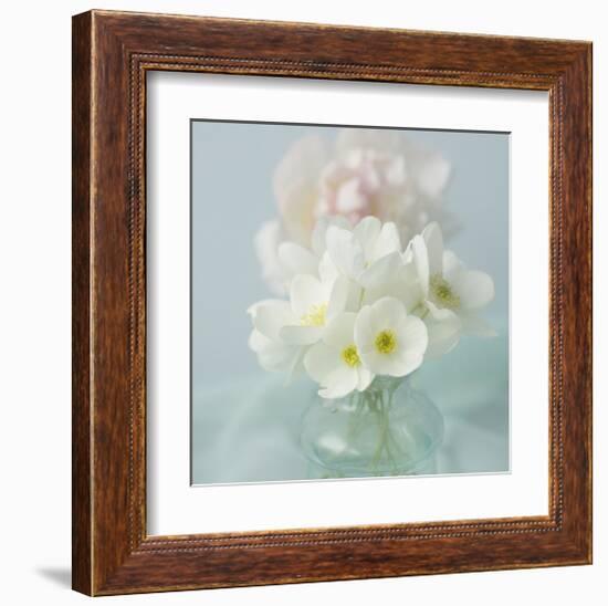 Little Bouquet of Anemones-Judy Stalus-Framed Art Print