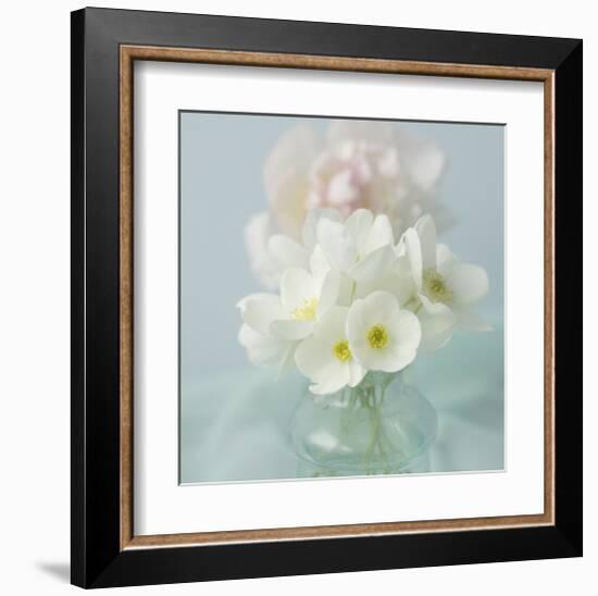 Little Bouquet of Anemones-Judy Stalus-Framed Art Print