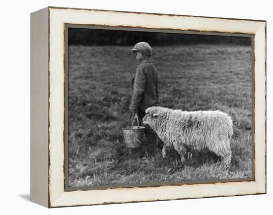 Little Boy Carring a Metal Pail of Feed is Followed by a Hungry Sheep!-null-Framed Premier Image Canvas