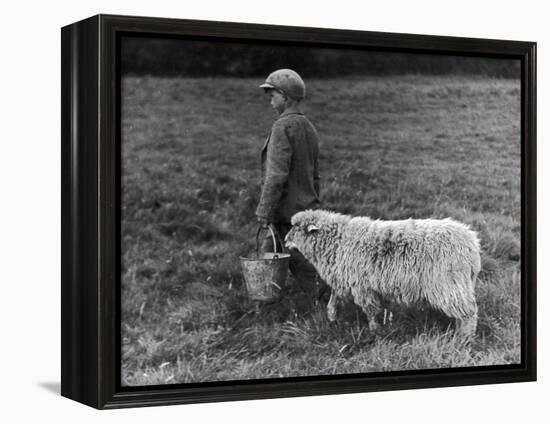 Little Boy Carring a Metal Pail of Feed is Followed by a Hungry Sheep!-null-Framed Premier Image Canvas