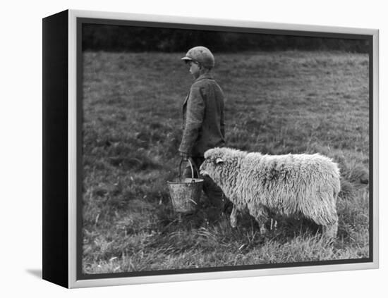 Little Boy Carring a Metal Pail of Feed is Followed by a Hungry Sheep!-null-Framed Premier Image Canvas
