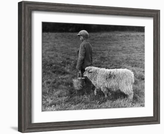 Little Boy Carring a Metal Pail of Feed is Followed by a Hungry Sheep!-null-Framed Photographic Print