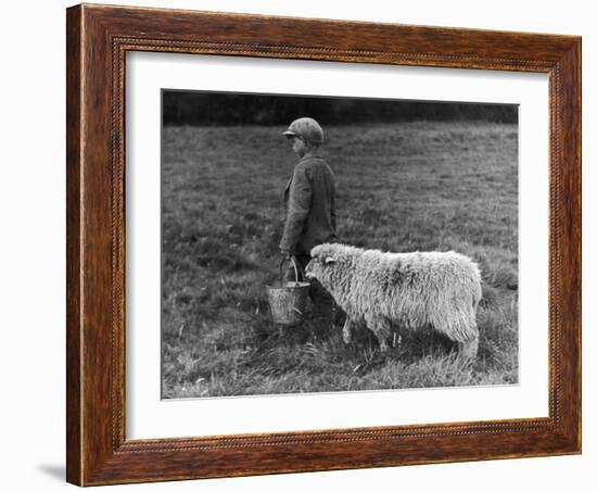 Little Boy Carring a Metal Pail of Feed is Followed by a Hungry Sheep!-null-Framed Photographic Print