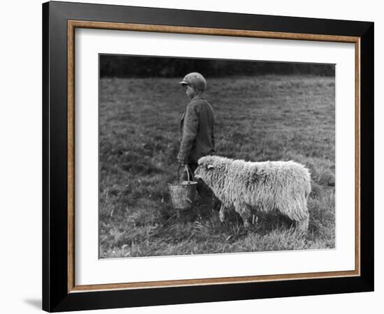 Little Boy Carring a Metal Pail of Feed is Followed by a Hungry Sheep!-null-Framed Photographic Print