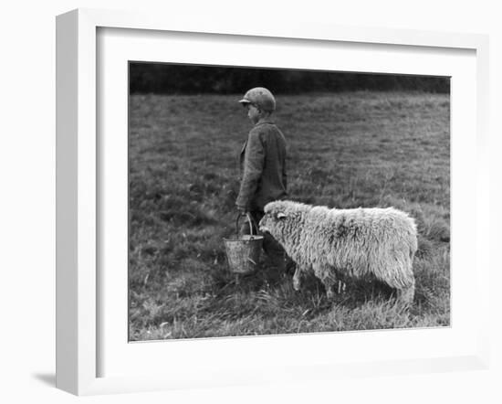 Little Boy Carring a Metal Pail of Feed is Followed by a Hungry Sheep!-null-Framed Photographic Print