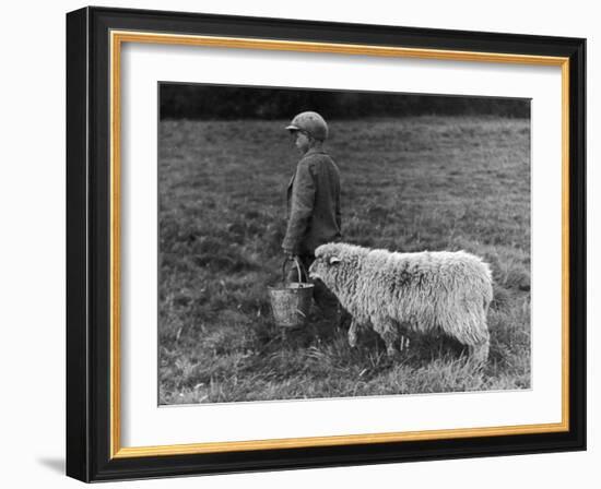 Little Boy Carring a Metal Pail of Feed is Followed by a Hungry Sheep!-null-Framed Photographic Print