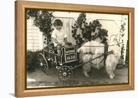 Little Boy in Goat Cart-null-Framed Stretched Canvas