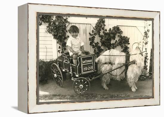 Little Boy in Goat Cart-null-Framed Stretched Canvas