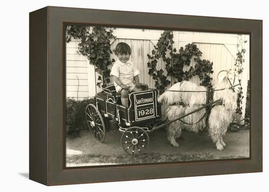 Little Boy in Goat Cart-null-Framed Stretched Canvas