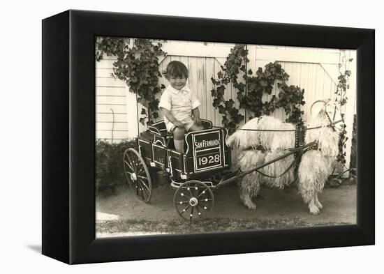 Little Boy in Goat Cart-null-Framed Stretched Canvas