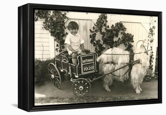 Little Boy in Goat Cart-null-Framed Stretched Canvas