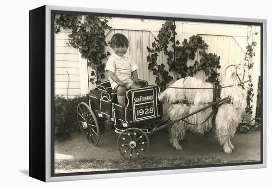 Little Boy in Goat Cart-null-Framed Stretched Canvas