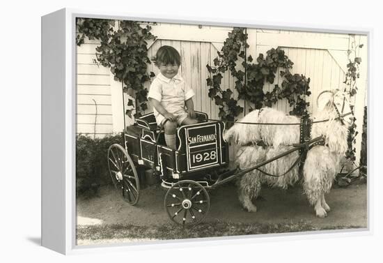 Little Boy in Goat Cart-null-Framed Stretched Canvas