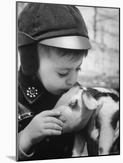 Little Boy Playing with Piglet on Farm in Kansas-Francis Miller-Mounted Photographic Print