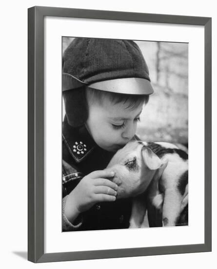 Little Boy Playing with Piglet on Farm in Kansas-Francis Miller-Framed Photographic Print