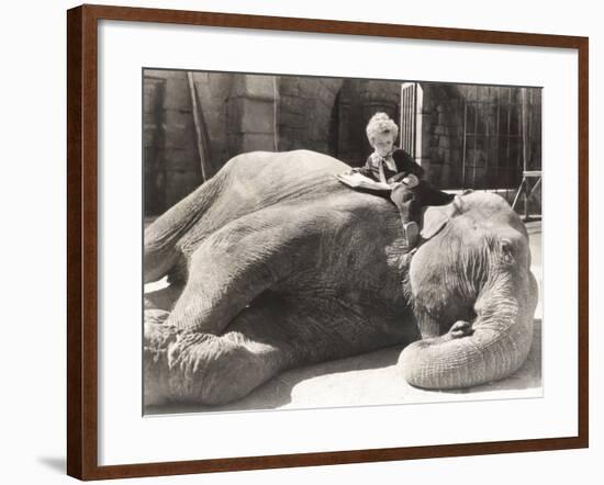 Little Boy Reading a Book on Sleeping Elephant-null-Framed Photo
