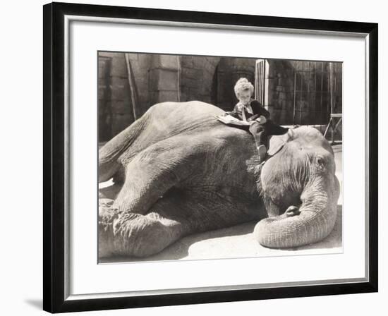 Little Boy Reading a Book on Sleeping Elephant-null-Framed Photo