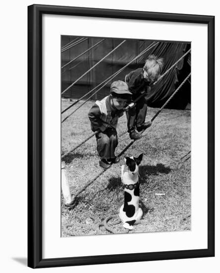 Little Boys Outside Circus Tent Playing with a Dog-Nina Leen-Framed Photographic Print