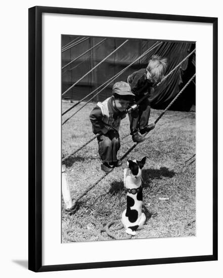 Little Boys Outside Circus Tent Playing with a Dog-Nina Leen-Framed Photographic Print
