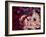 Little Briar Rose-Natasha Wescoat-Framed Giclee Print