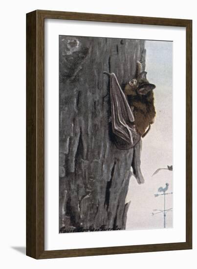 Little Brown Bat-Louis Agassiz Fuertes-Framed Giclee Print